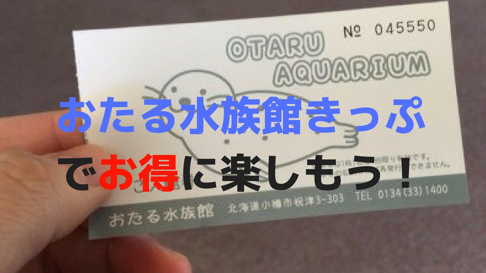 おたる水族館に行くなら「おたる水族館きっぷ」がおススメ！割引率やセット内容は？