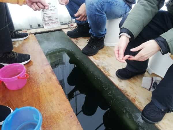 ワカサギ釣り しのつ湖 札幌 北海道