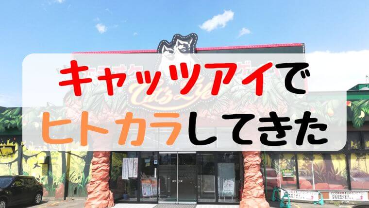 カラオケキャッツアイでヒトカラしてきた。割引クーポン情報あり