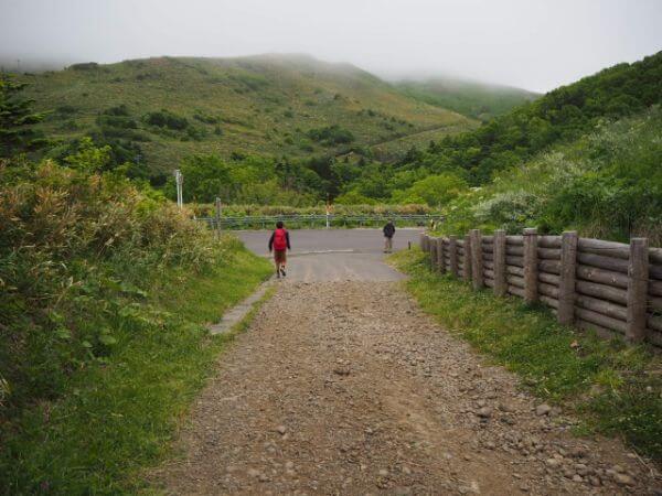 礼文島の林道