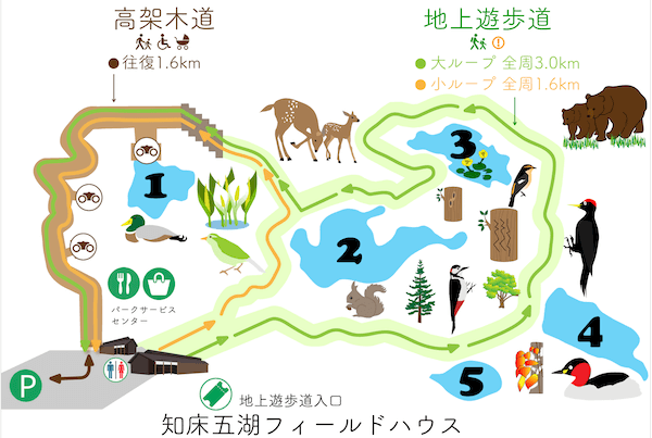 知床五湖の小ループと大ループ