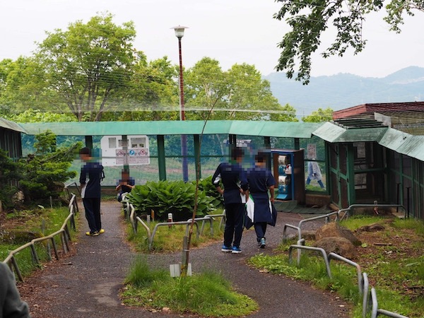 小樽天狗山のシマリス公園内の様子