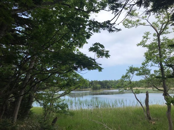 知床五湖の一湖