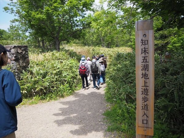 知床五湖の地上遊歩道