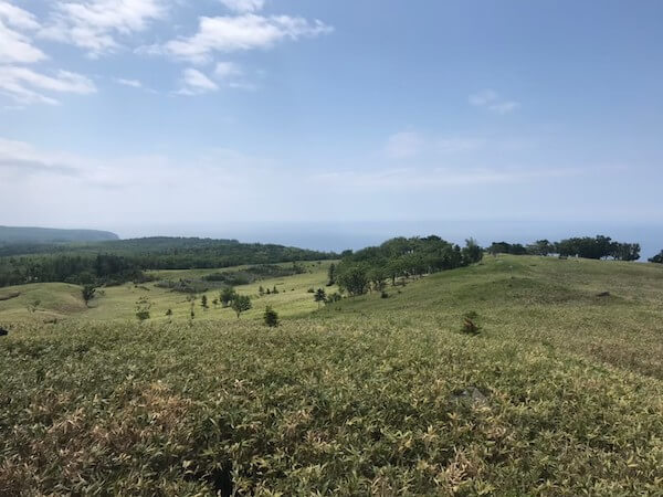 知床五湖の高架木道からの景色