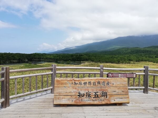 知床五湖の高架木道