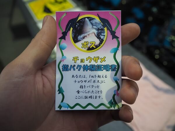 標津サーモン科学館のチョウザメ指パク体験