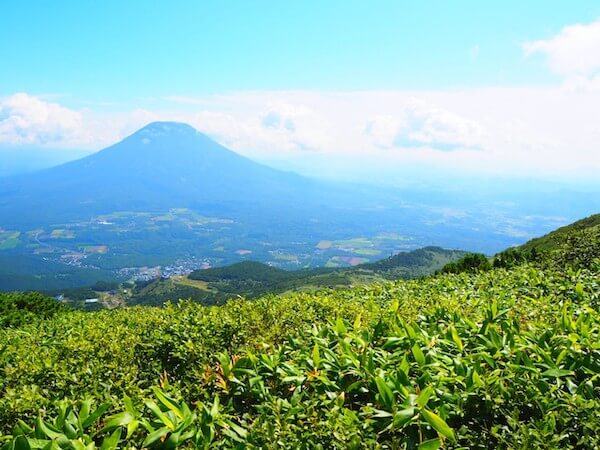 ニセコアンヌプリの山頂からの羊蹄山