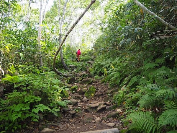 ニセコアンヌプリの登山道