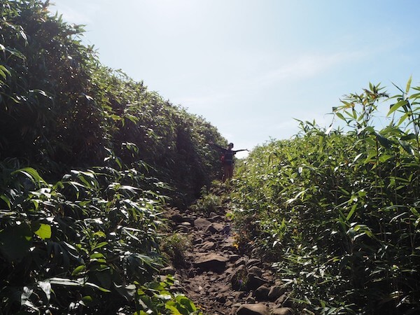 ニセコアンヌプリの登山道